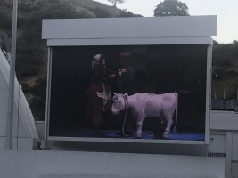 The view on the big screen at the Hollywood Bowl - Rebecca Spencer